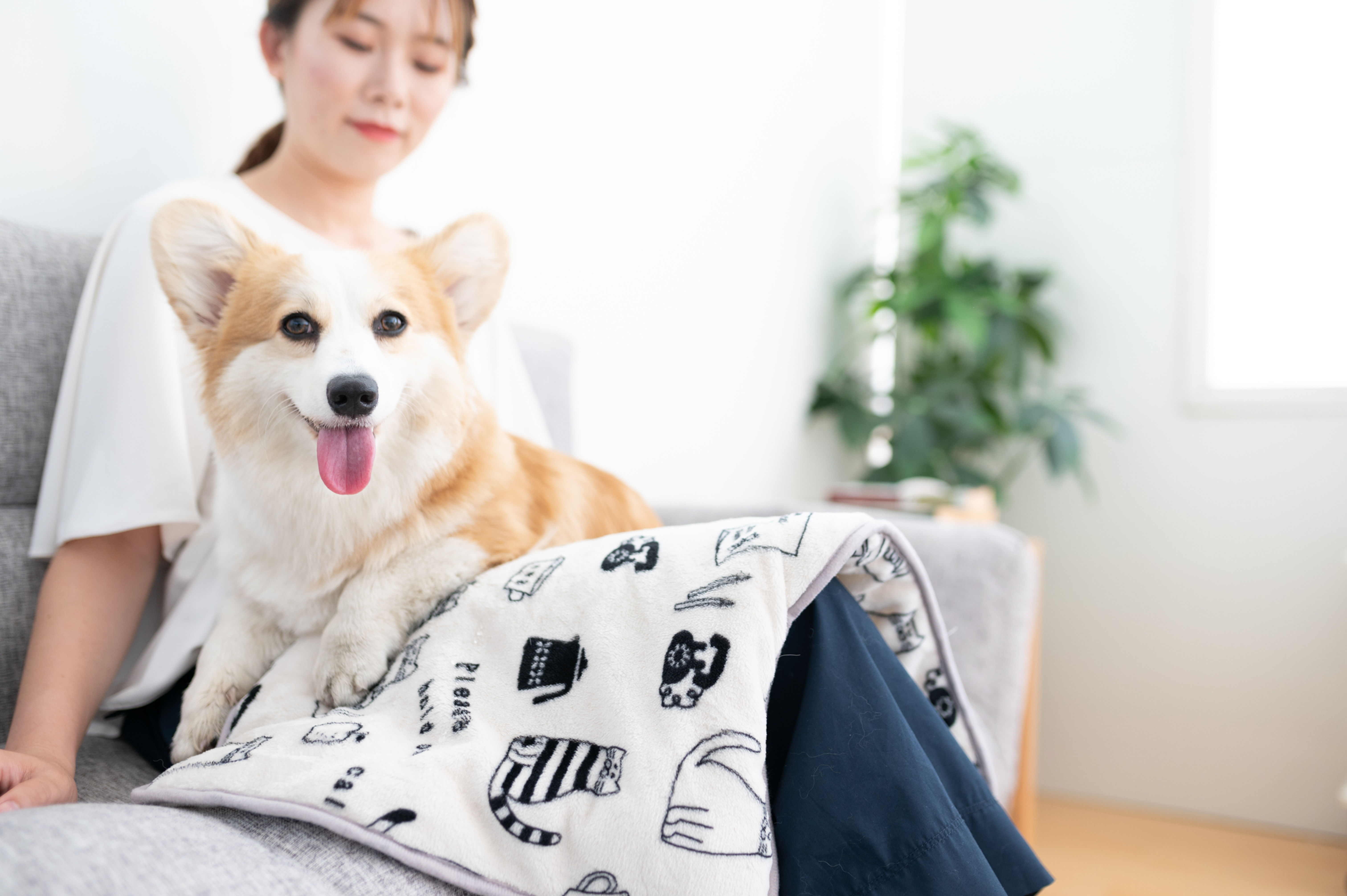 あったかペットブランケット