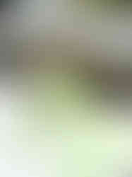 Weixin Image_20260505052003_212_115