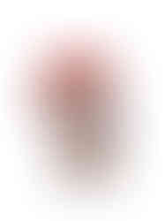 79