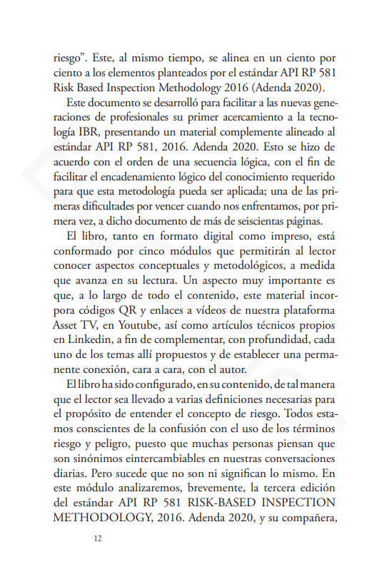 Miniatura: Libro Físico: Planes de Inspección basados en riesgo