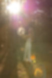 J51A5945.jpg