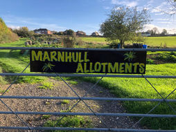 Marnhull Allotments.jpeg