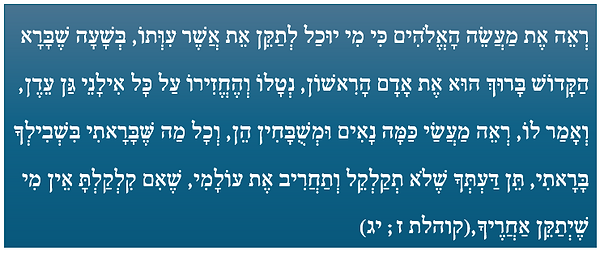 צילום מסך 2024-06-30 161001.png