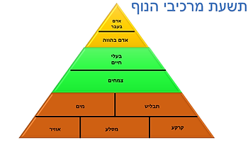תשעת מרכיבי הנוף.png