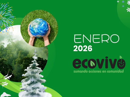 Enero 2026