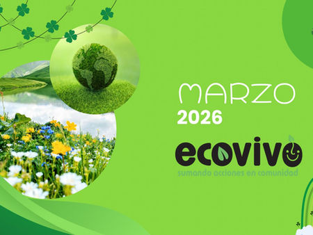 Actividades marzo 2026