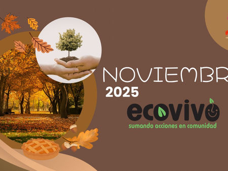 Noviembre 2025