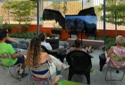 "El Tema" Series: Environmental Documentary Night