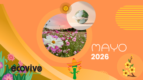 Actividades de mayo 2026