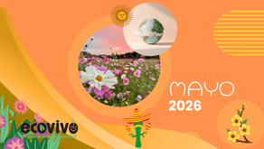 Actividades de mayo 2026