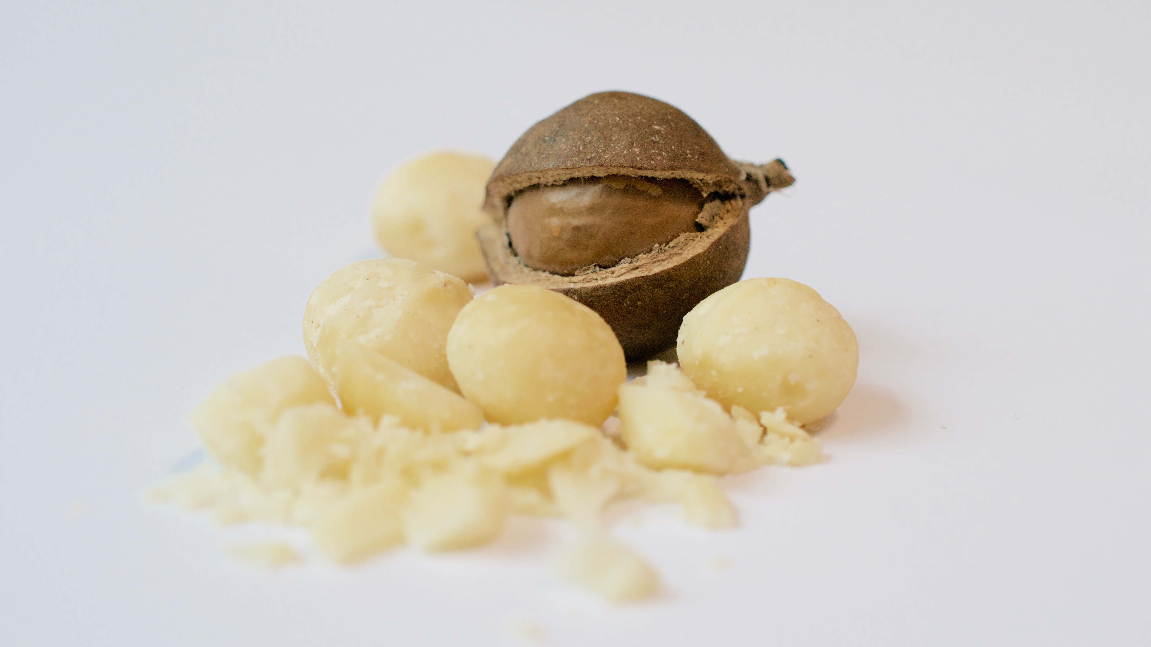 MACADAMIA
