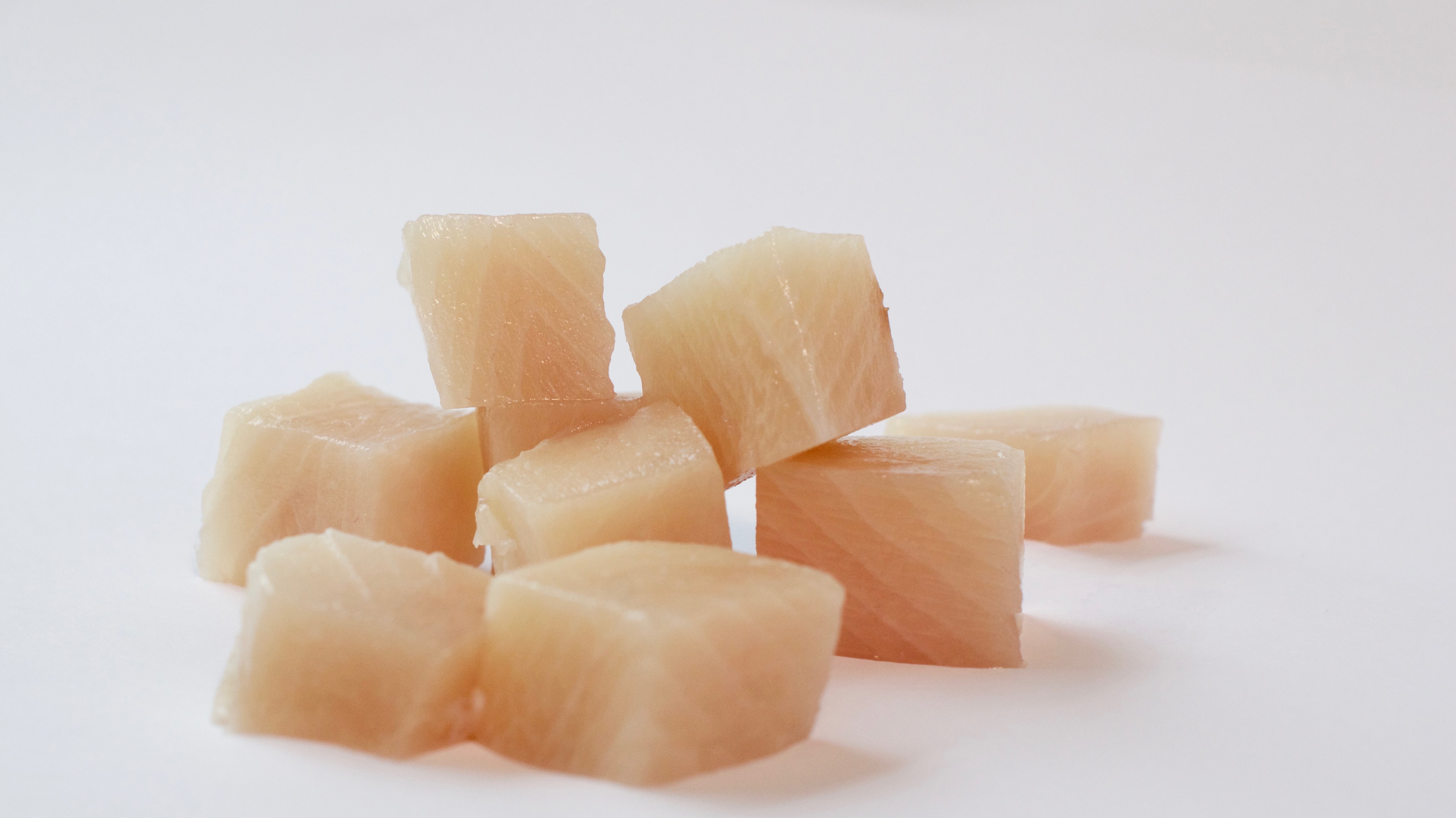 ALBACORE (Weißer Thunfisch)