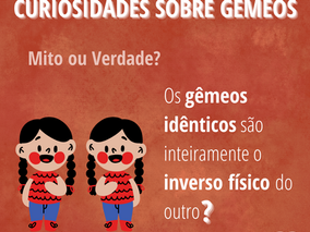 Os gêmeos idênticos são inteiramente o inverso físico do outro?