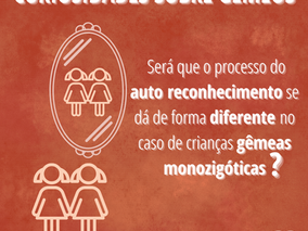 Será que o processo do auto reconhecimento se dá de forma diferente no caso de crianças gêmeas MZ?