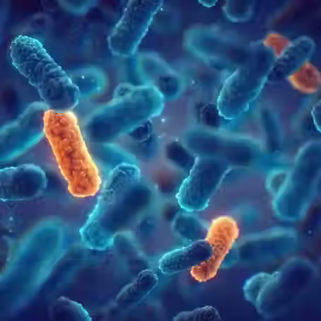 Antimicrobial Resistance Strategy: The Role of Infectious Disease Pharmacists