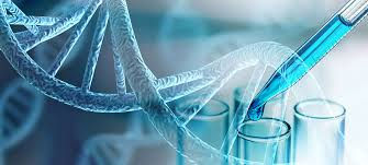 Integrating Genomic Testing Into Primary Care Workflows