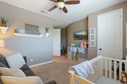 086_27221-Red-Ironbark_20210324