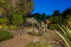 048_6900_via_del_charro_-_191_599