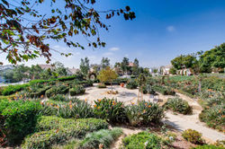 Cornerlot home in Bressi Ranch-large-019