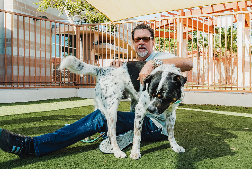 Thumbnail: Justin Shaw Paws and Properties Content Day (non-watermarked PHOTOS)