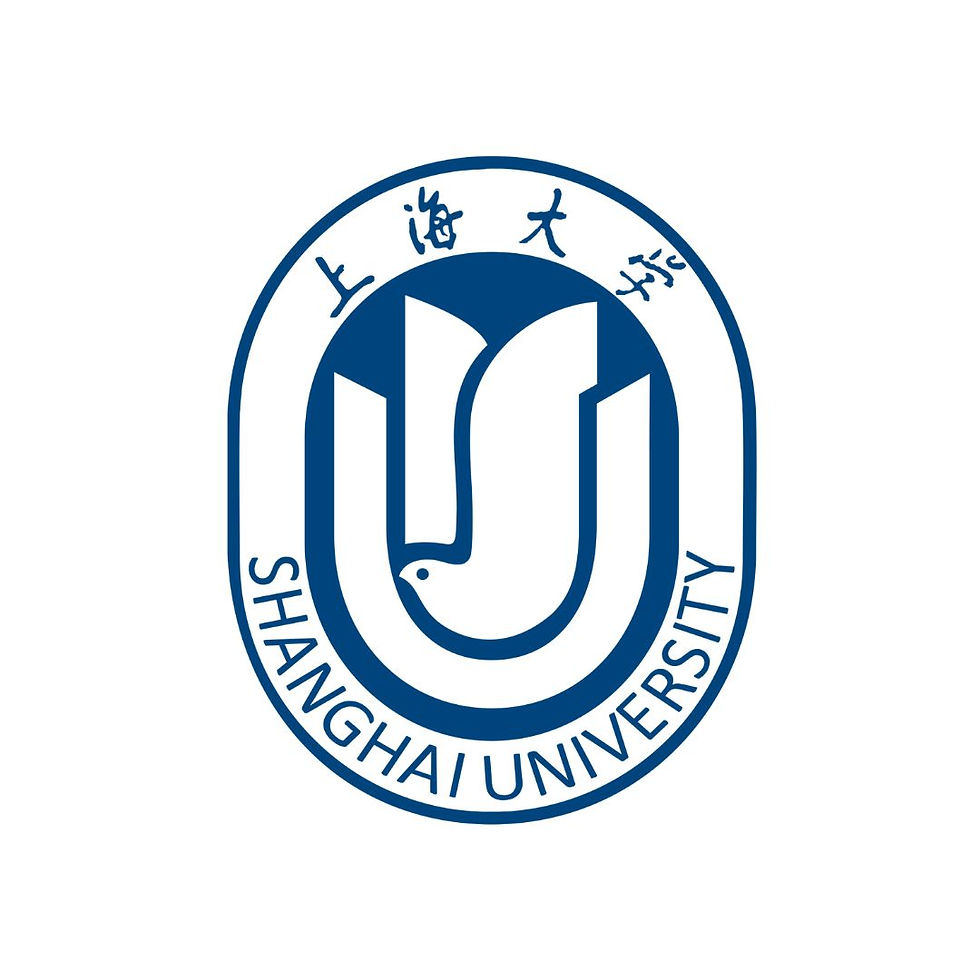 Shanghai University