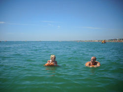 313500_270649369612758_2989126_n