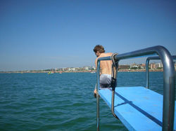 311275_270649056279456_8354467_n