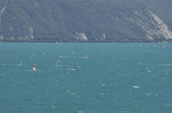 298386_275728229104872_1250622_n