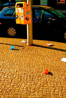 183457_205198716157824_380893_n