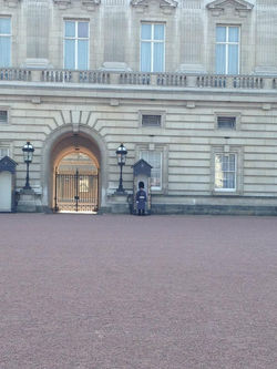 292957_402762823068078_1182443871_n