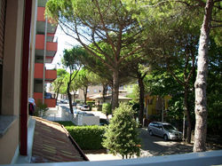 316920_270647802946248_2107798_n