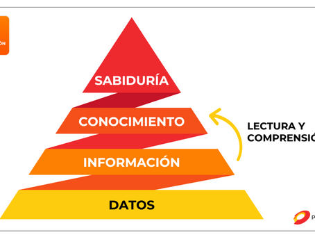 Objetivos de aprendizaje: La comprensión 360