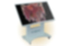Athena Table by Axes