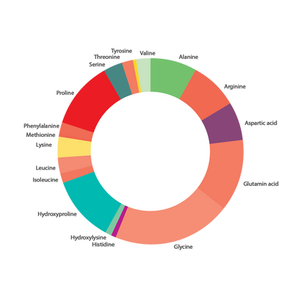 Infografik_Zeichenfläche 1.png