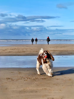 Photo 02-02-2013 14 05 34.jpg