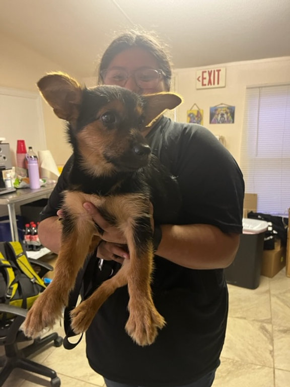 Charlies Story - Laredo Clinic