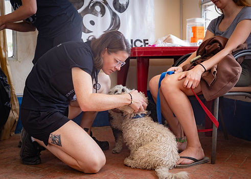 Home - The Challenge.jpg