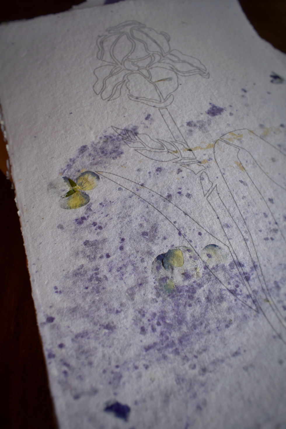 Miniature : L'Iris Kit - Kit de marqueterie de paille