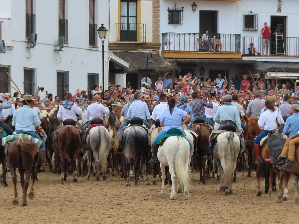 Rund um Almonte_ Ruhe, Naturerlebnis und andalusische Kultur abseits des Massentourismus