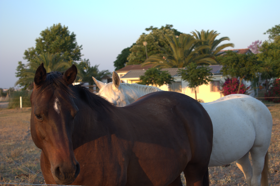 Screenshot 2025-01-09 155739