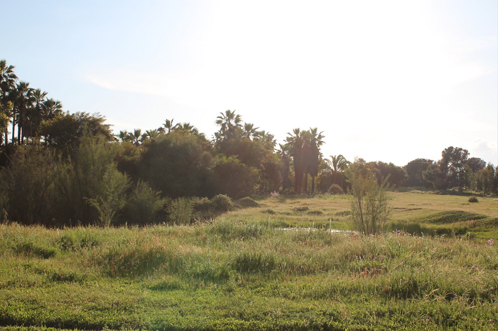 Screenshot 2025-04-16 161829