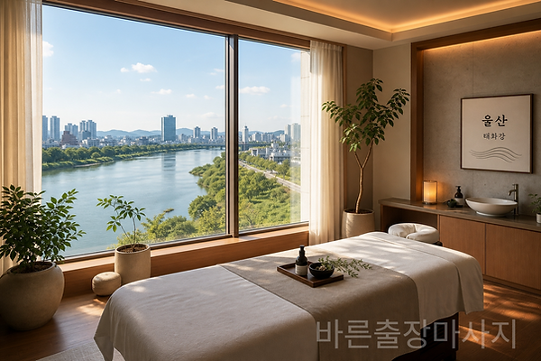 태화강이 보이는 울산홈타이