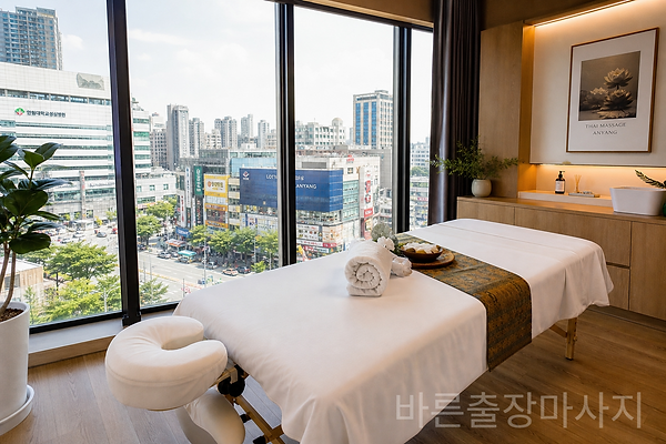 안양 일대가 보이는 홈타이