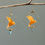 Miniature : Oiseaux Origami rouge, créole simple
