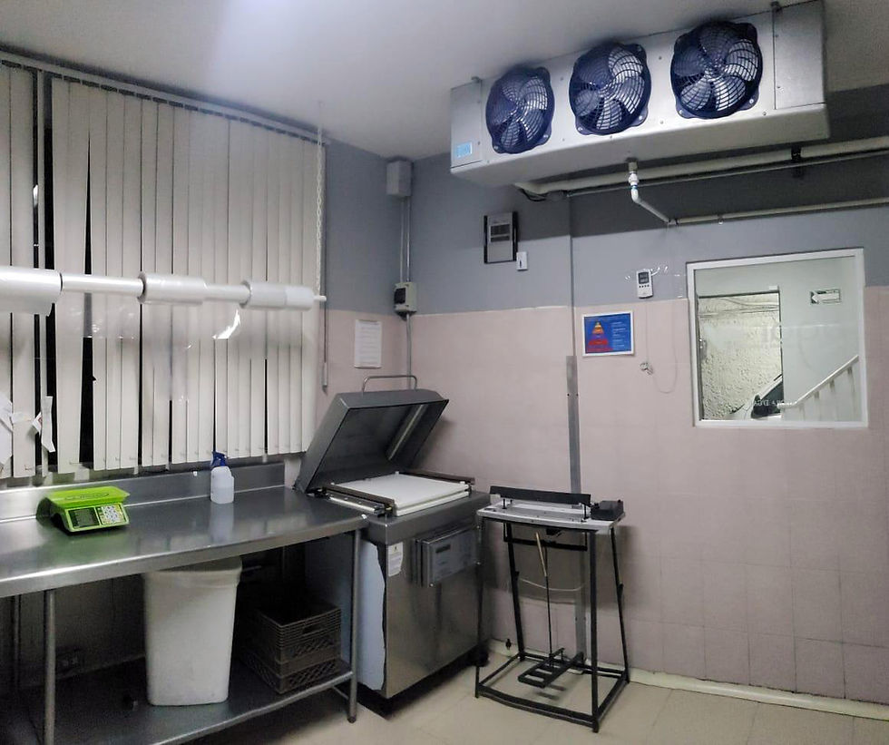 dgar_mayoreo_gal_camaras2