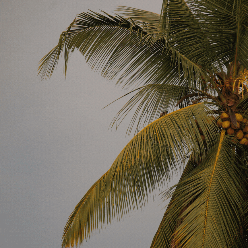 Places that adapt - if this location will be climate secure in 2o years, how can it benefit?