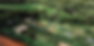 PHOTO-2023-03-16-17-05-37_edited.png