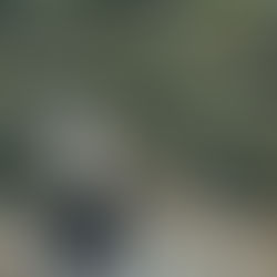 || 三浦 記志 ||