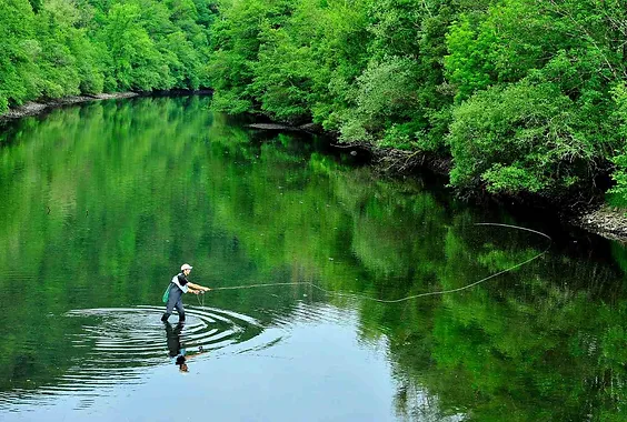 Concours_pêche.webp
