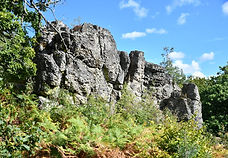 DSC_3241-1024x683.jpg